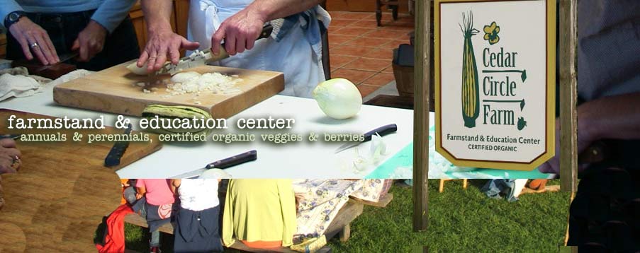 Cooking Classes in Vermont