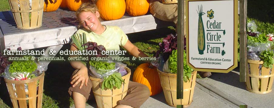 CSA Farm in Thetford Vermont