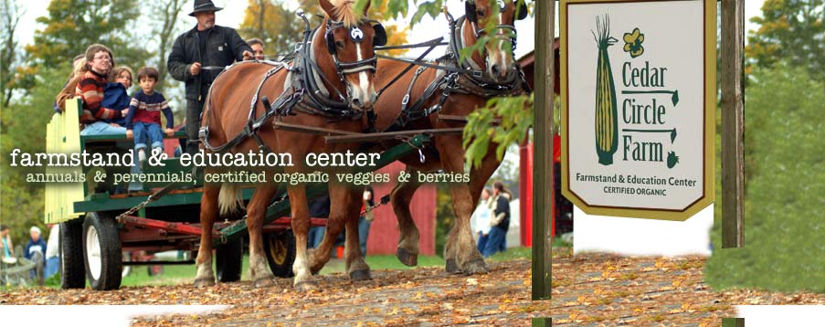 Fall Events in Vermont