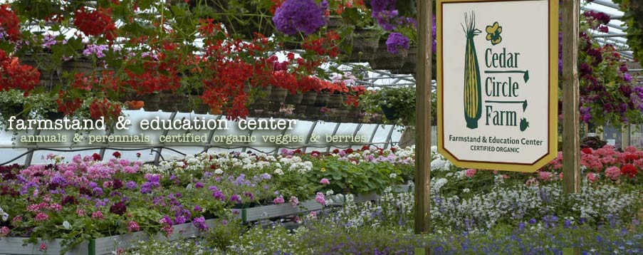 Organic Farmstand Thetford Vermont