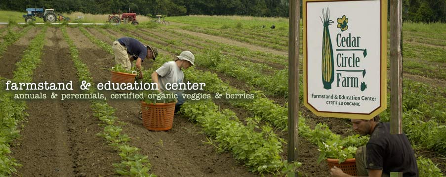 Organic Farm in Vermont