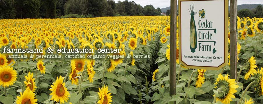 Organic Farm in Vermont