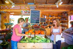 Farmstand and coffee shop
